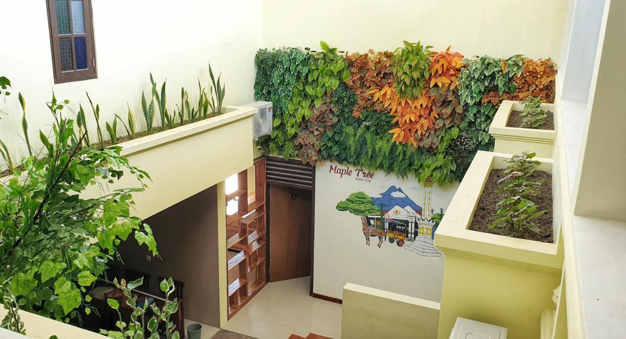 Maple Tree Homestay Maguwo Esterno foto