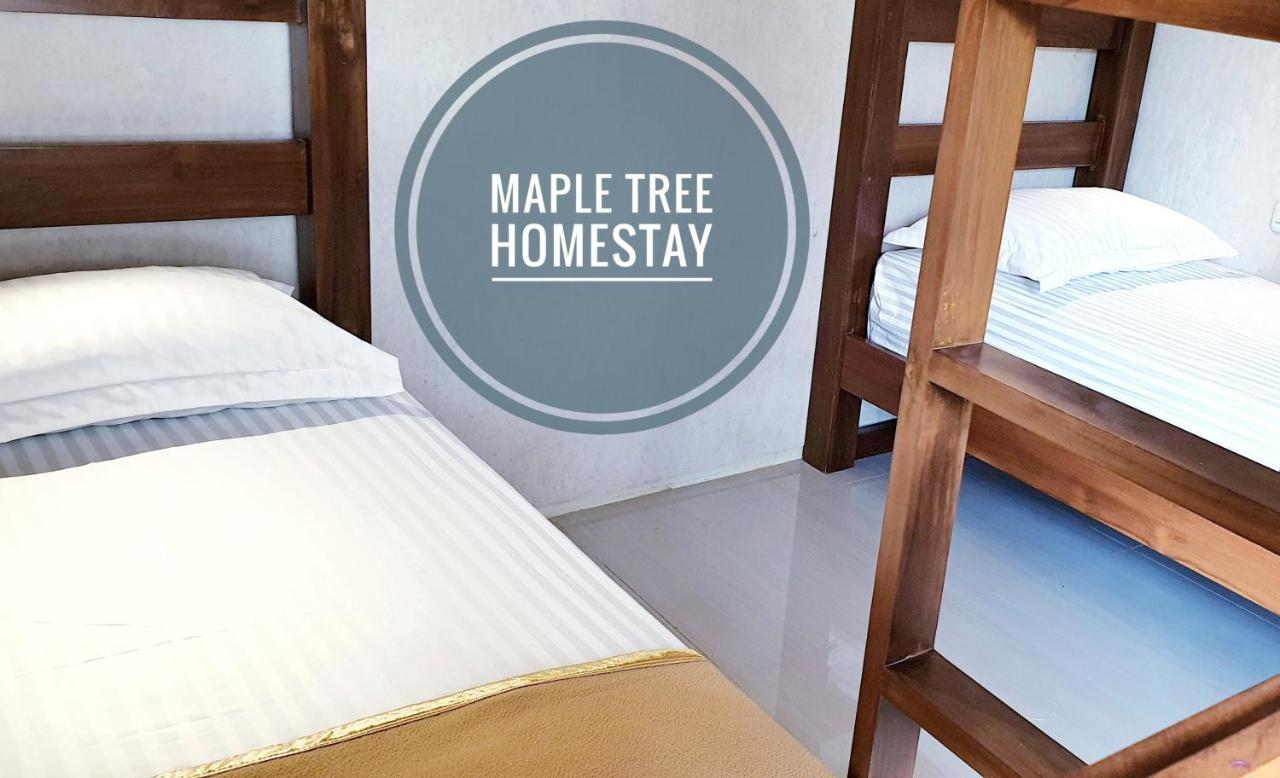 Maple Tree Homestay Maguwo Esterno foto