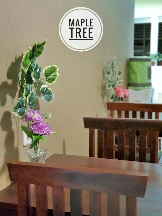 Maple Tree Homestay Maguwo Esterno foto